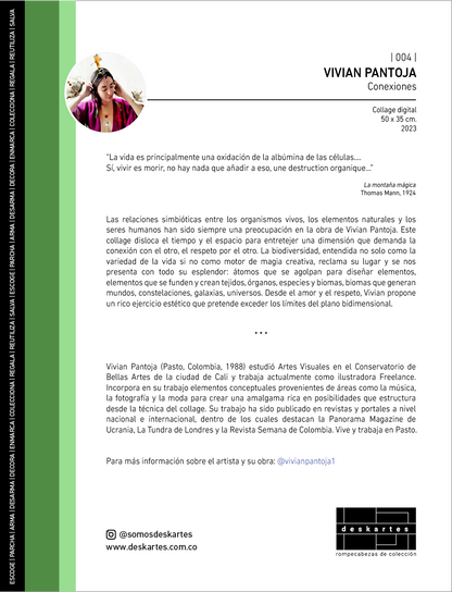 Conexiones