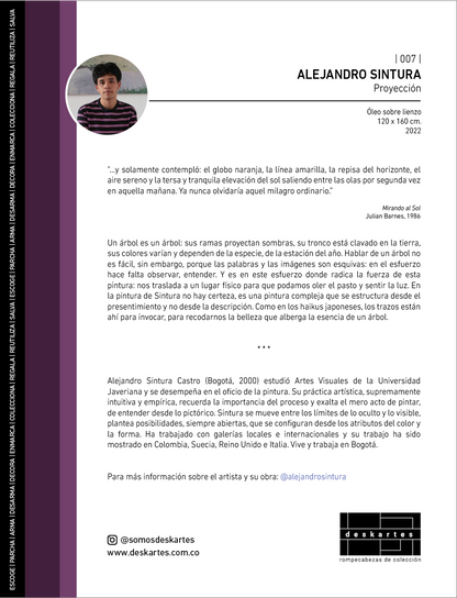 biografia rompecabezas proyeccion