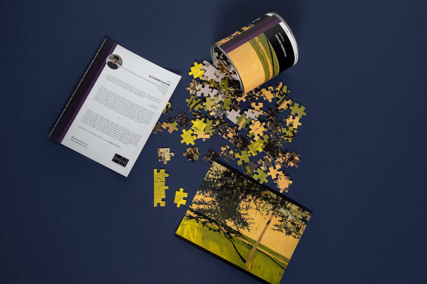 rompecabezas proyeccion alejandro sintura