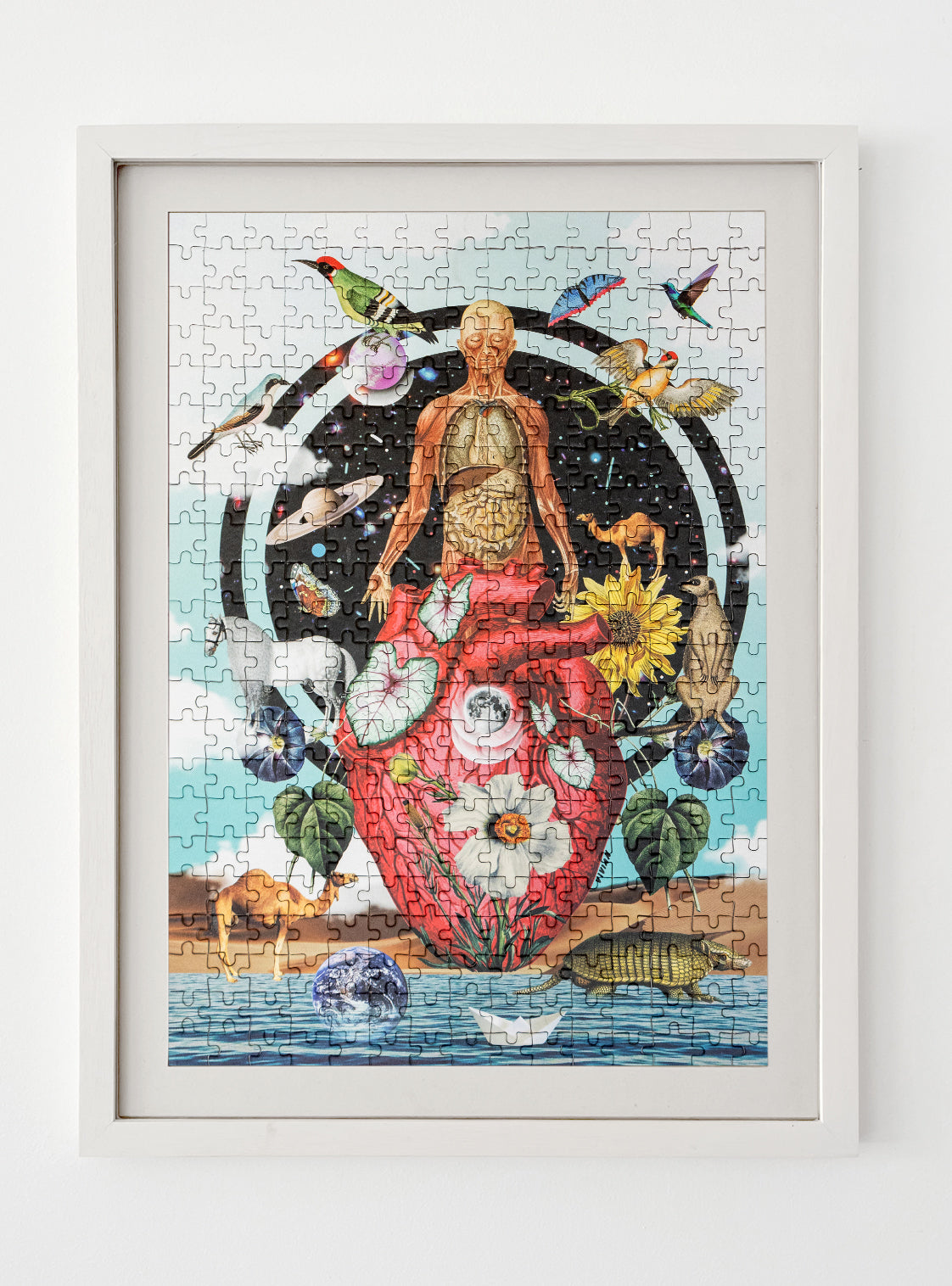 Marco Blanco x 330 piezas